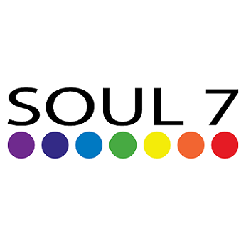 Soul 7