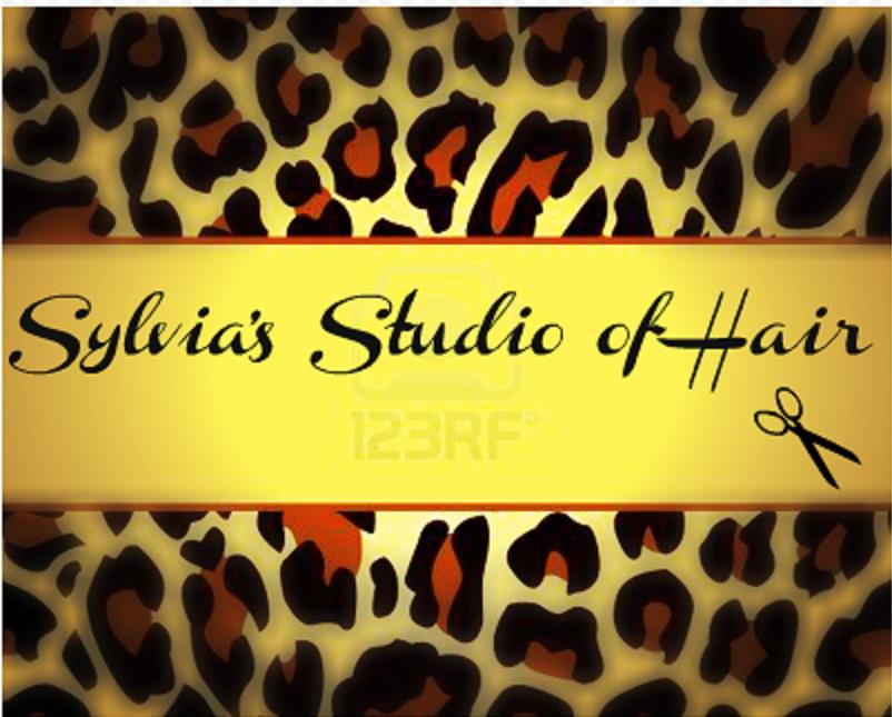 Sylvias Studio Of Hair